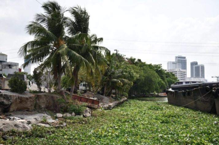 กทม.พลิกที่รกร้างย่าน “บางซื่อ” ผุดสวนสาธารณะ 2 แห่งใหม่กลางกรุง