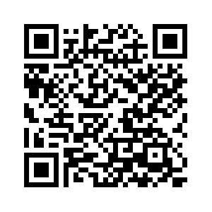 QR Android - Google Play